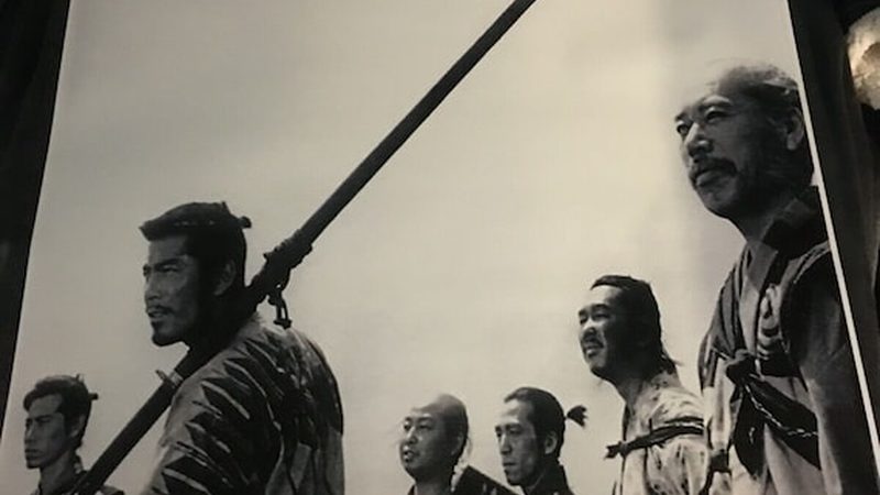 精准施策：针对不同类型的病虫害，采取相应的防治措施。以下是一些常见的防治方法：