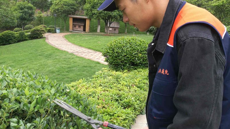 立体绿化养护工人培训：提升技能，守护城市绿肺**