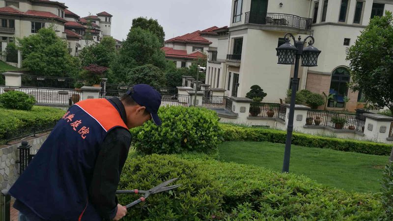 苗木种植深度规范2025：深度解析与标准解读**