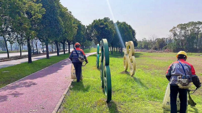 成都绿植租赁，每盆单价到底差在哪里