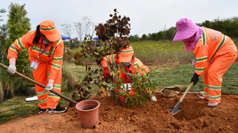 园林工程报价软件：揭秘其核心功能与选型要点