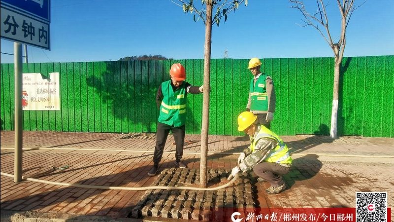 庭院灯光设计：打造温馨夜境的五大要点