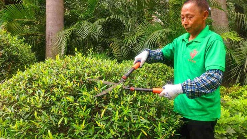 别墅花园设计包含哪些项目内容