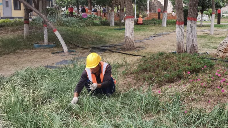 厂区绿化报价单背后的隐性成本，你算清楚了吗