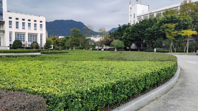 小区园林绿化施工：从规划到成活的秘密**
